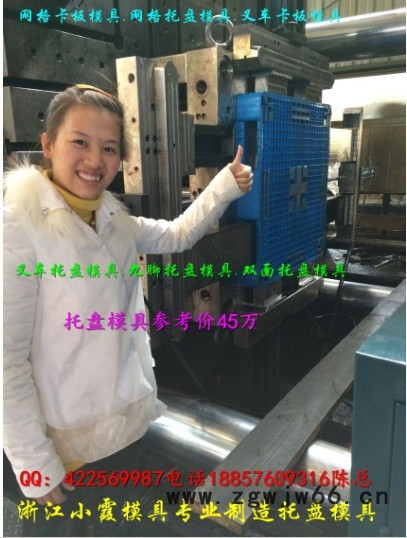 浙江塑胶模具 1.2m九脚托盘模具 田子注塑托盘模具专业加工图6