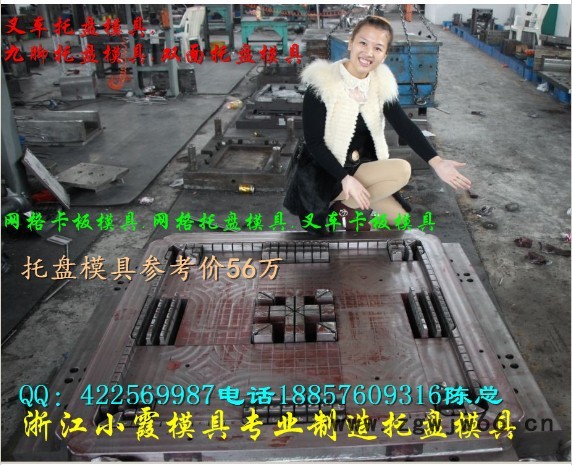 浙江塑胶模具 1.2m九脚托盘模具 田子注塑托盘模具专业加工图2