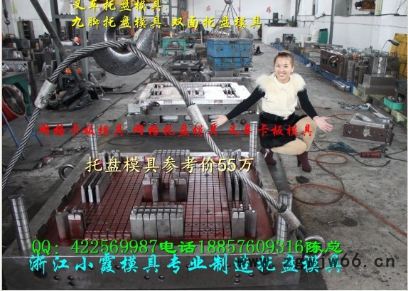 浙江塑胶模具 1.2m九脚托盘模具 田子注塑托盘模具专业加工图5