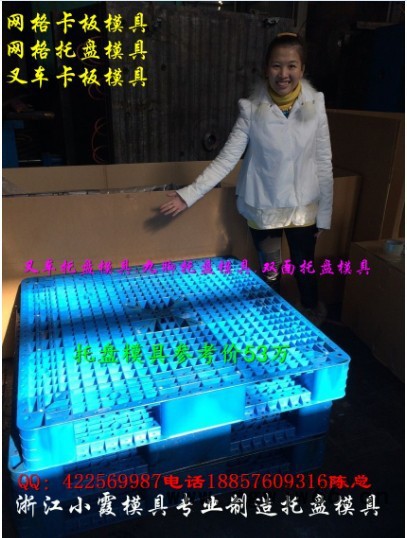 浙江塑胶模具 1.2m九脚托盘模具 田子注塑托盘模具专业加工图7
