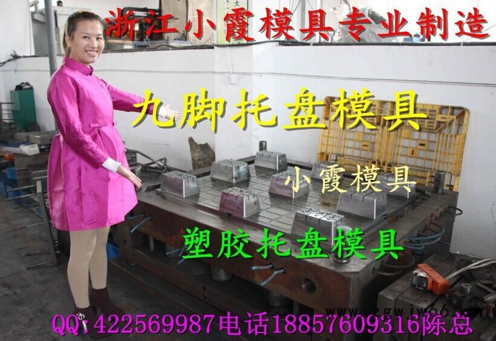 浙江加工模具厂 一米二托盘模具 ,栈板塑料模具制造厂家图2