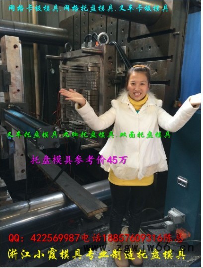 浙江加工模具厂 一米二托盘模具 ,栈板塑料模具制造厂家图4