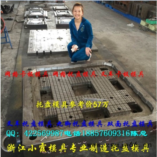 浙江加工模具厂 一米二托盘模具 ,栈板塑料模具制造厂家图3