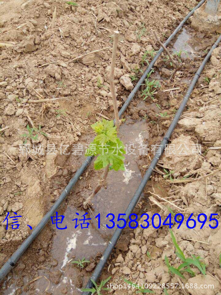 QQ图片20160512173854