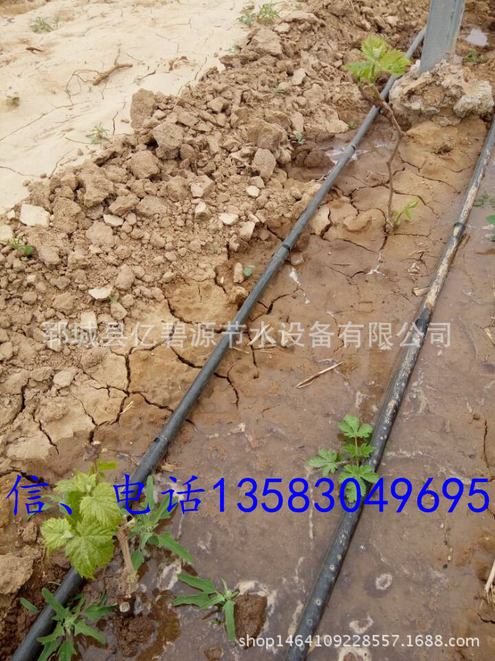 QQ图片20160512173917