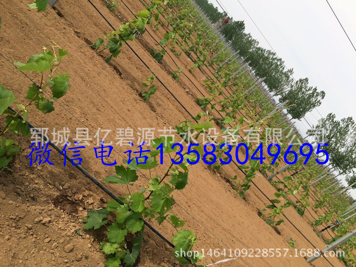 `2%Q8H{Y}D@`)O$M}71MU4Q - 副本