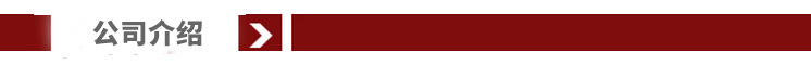 公司介绍.png