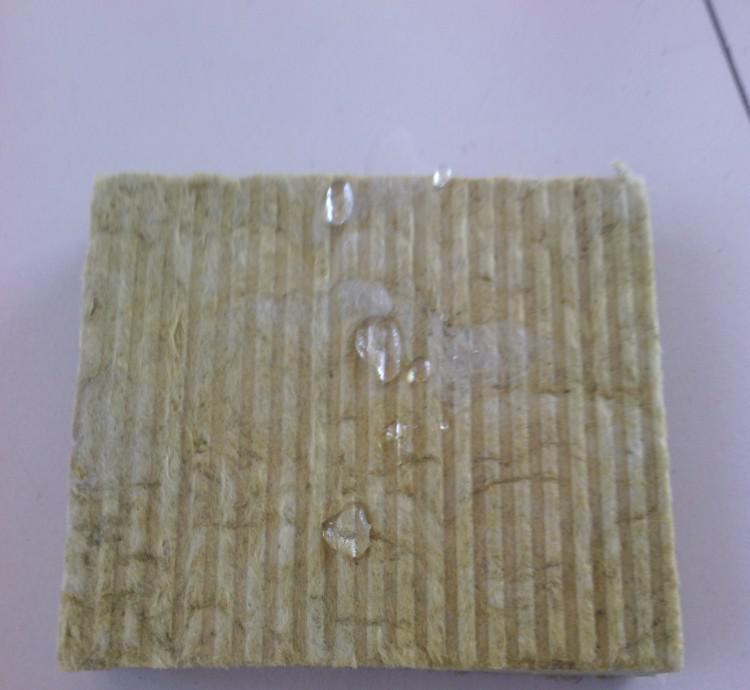 conew_2137698723_1816805832