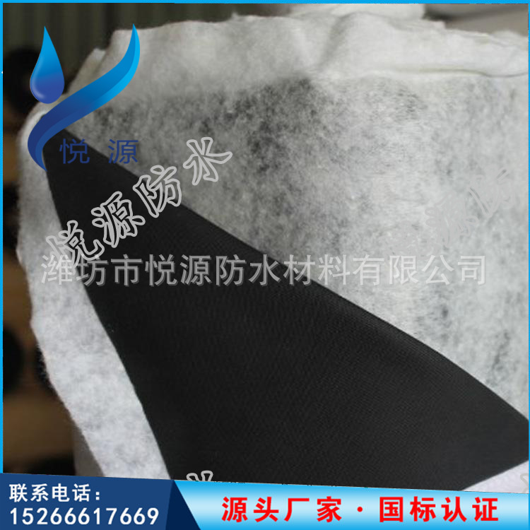 2627918777_667491695