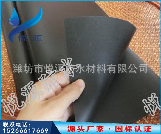 2625424656_667491695