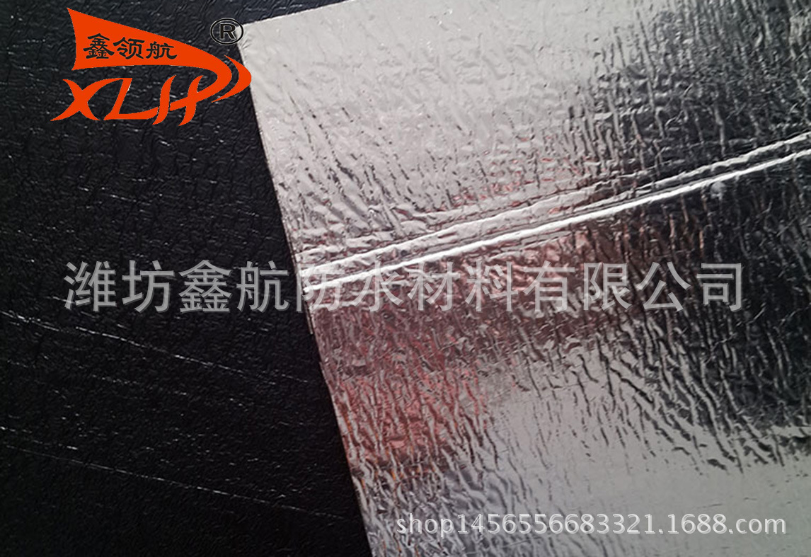 2700831756_1268775975