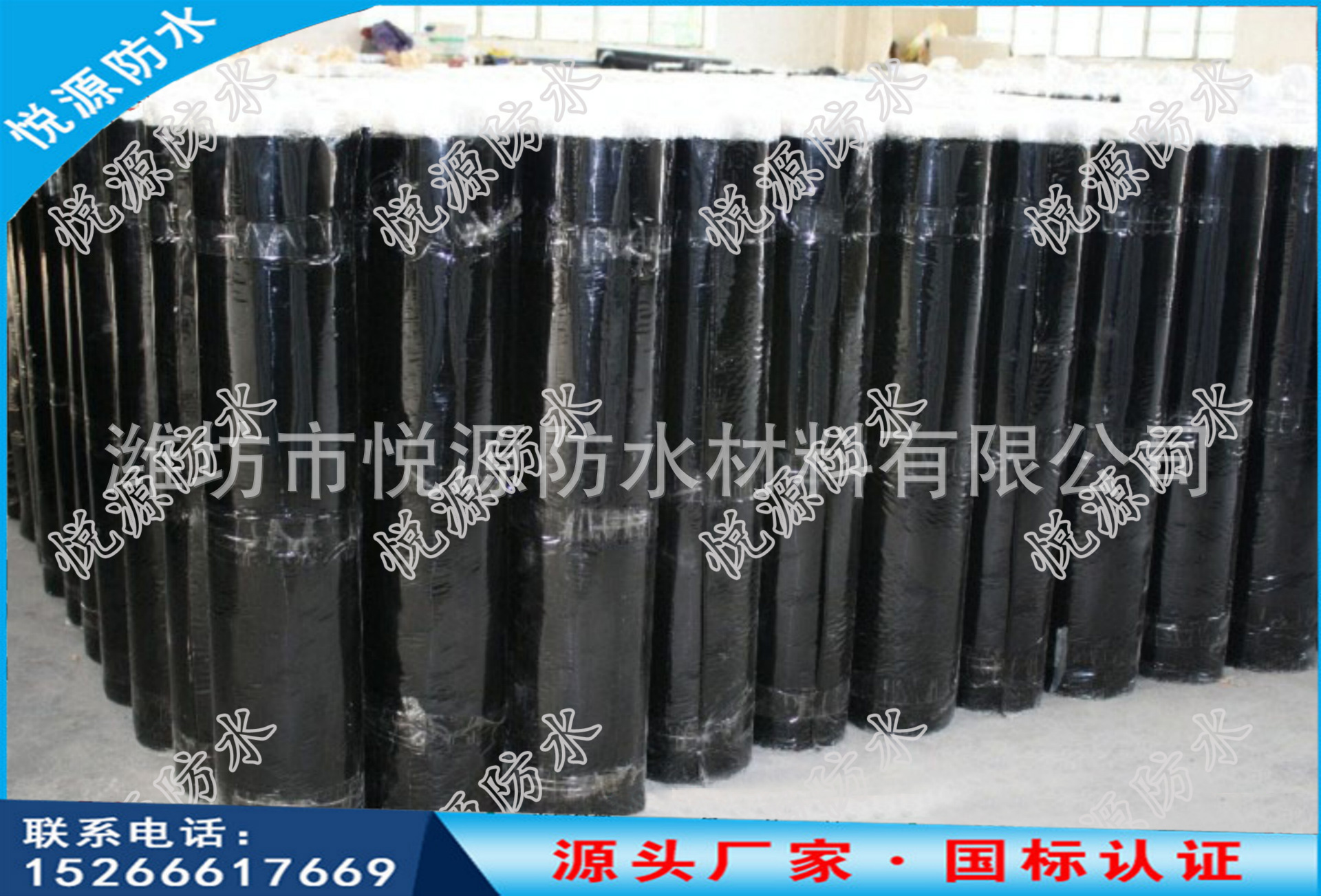 20150729100599159915661175