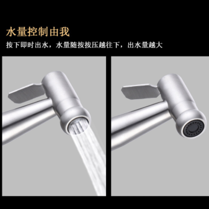 麦水不锈钢喷枪套装 马桶伴侣用喷枪 卫生间手提冲水喷头套装图2