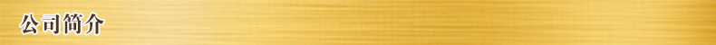 公司简介
