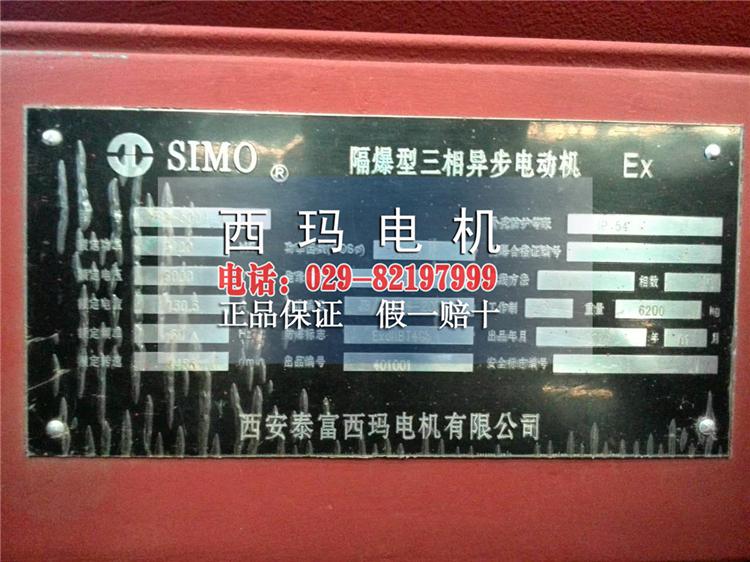 YB2-5004-8 560KW高压电机西安西玛电机