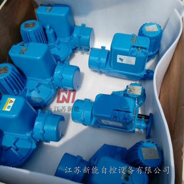 DMC30电机原装进口