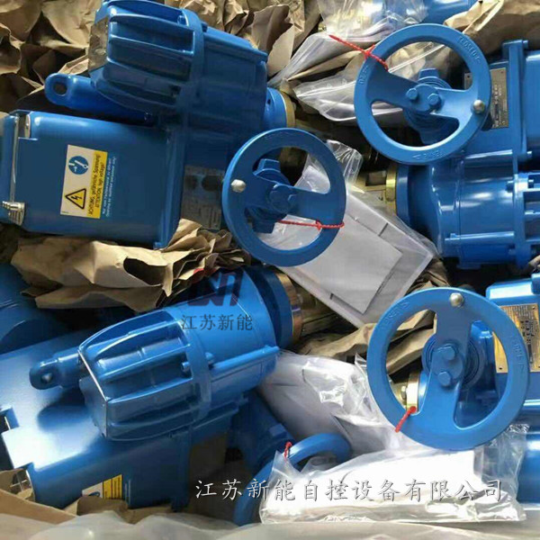 DMC30电机原装进口