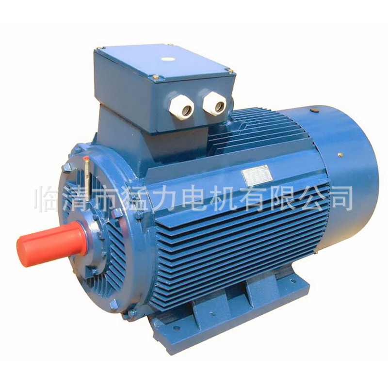 YE2三项宽频电动机 (2)