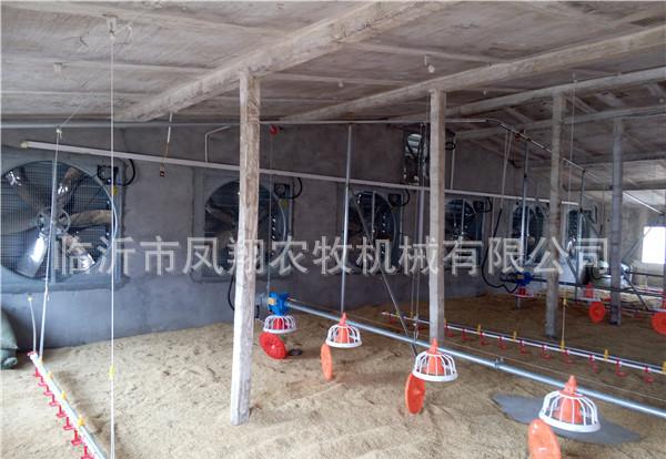 养鸡料线/肉鸡料线