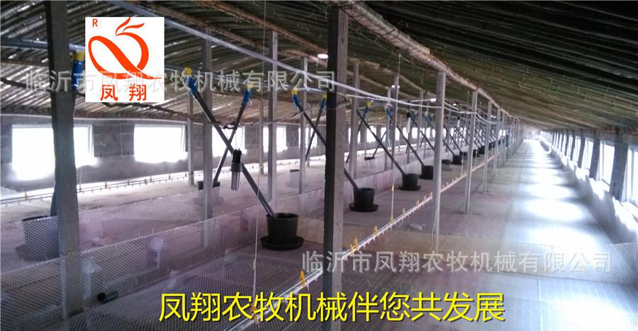 简易棚自动养鸭设备水线料线上料机