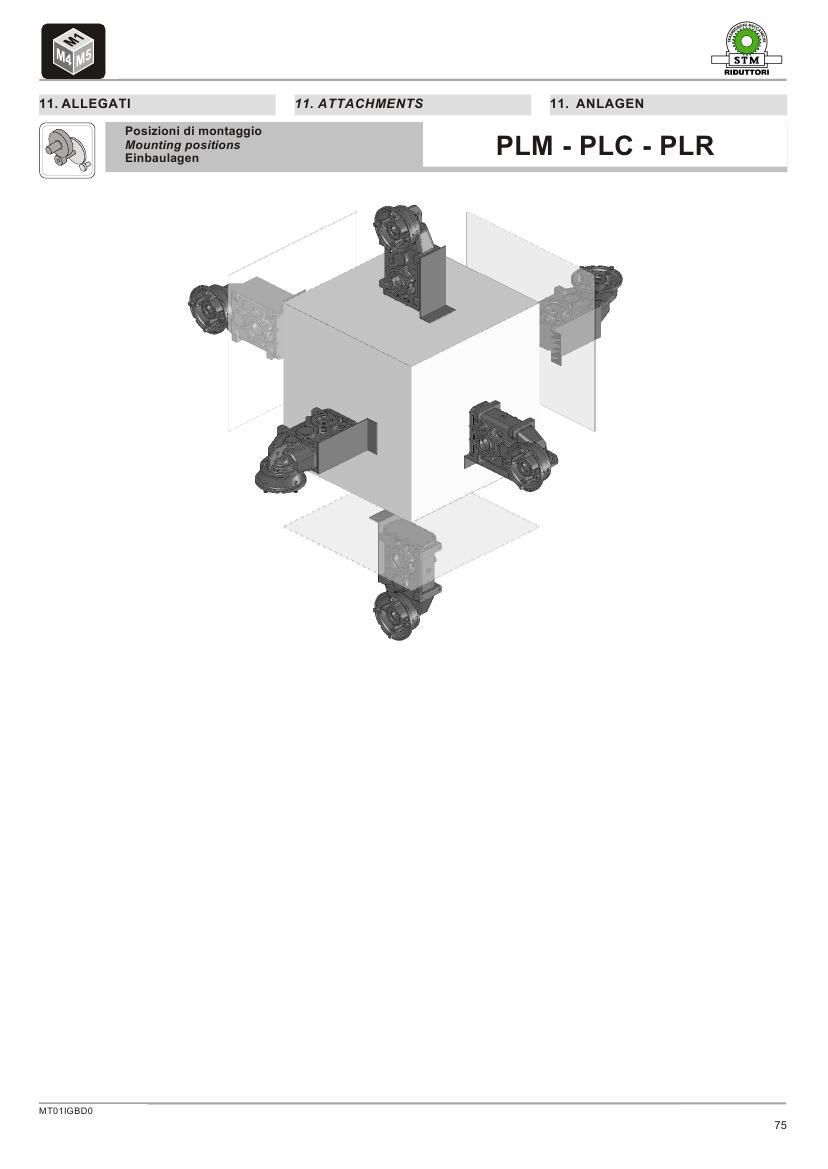 意大利STM03- (21)