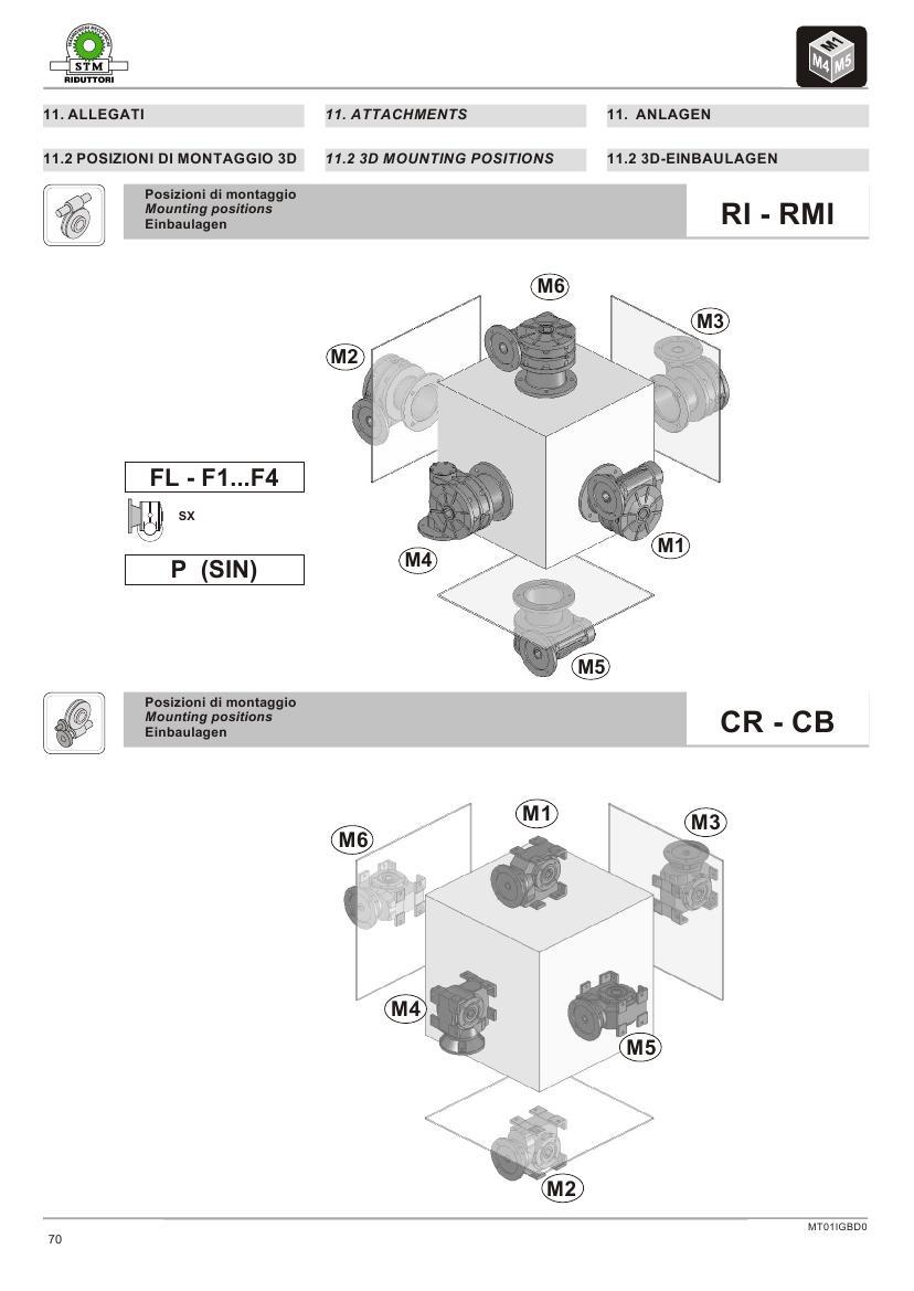 意大利STM03- (16)