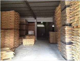 美国雪佛龙菲利普