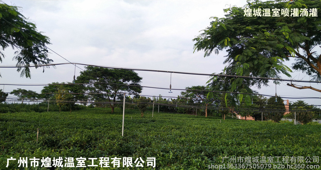 蔬菜大棚煌城温室