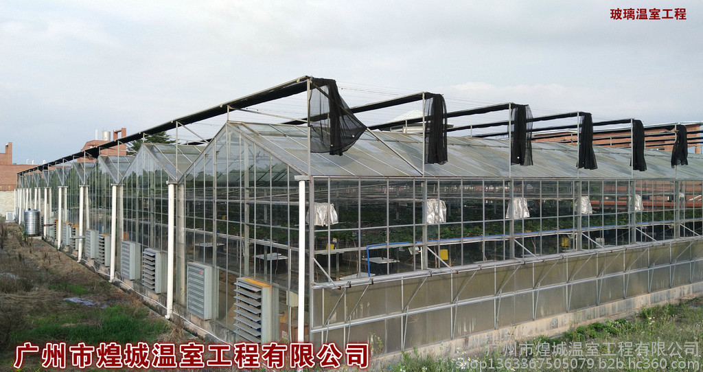玻璃温室大棚工程