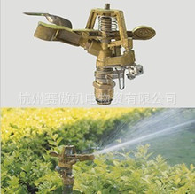 T1mjN_XhJuXXX0PMDb_093851_jpg_