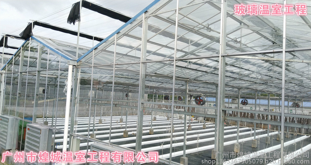 玻璃温室大棚