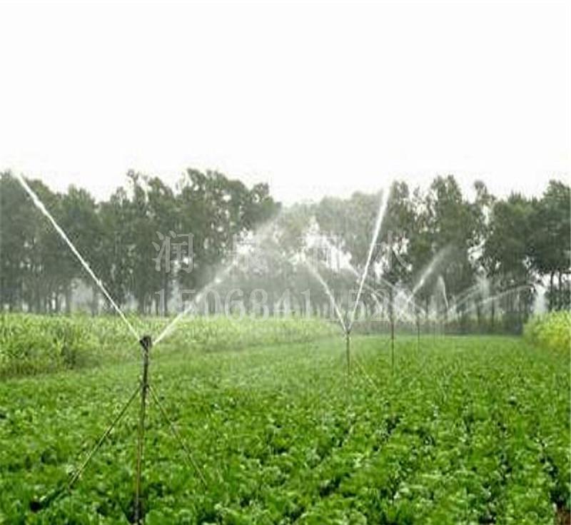 9d83ac08eed447449c4b1f1717ce55