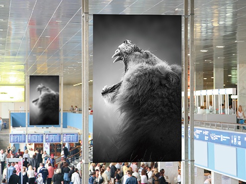 JV300 Series：刀刮布