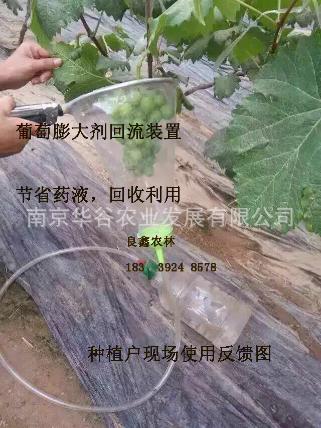 葡萄膨大剂回流装置