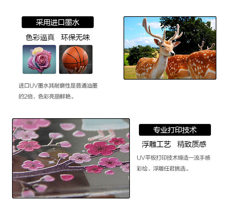 3997652252_638221916