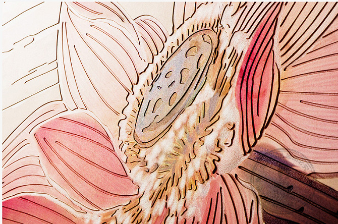 wKhQpFWt5SiEL4F_AAAAAD1wm4Y471