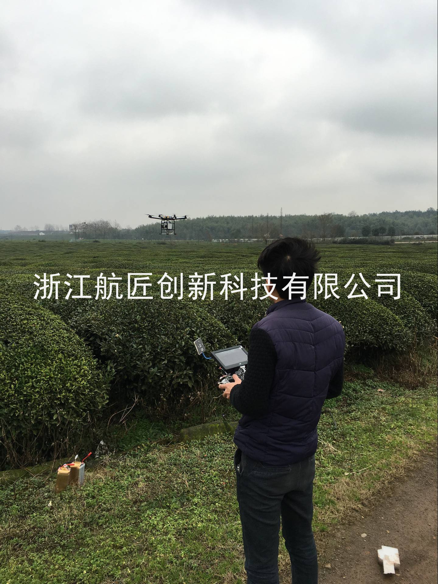 河南驻马店董总