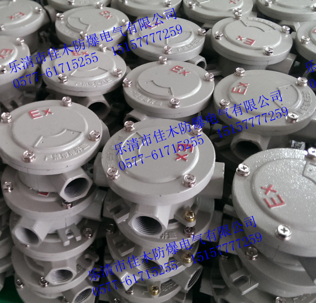 防爆接线盒 22