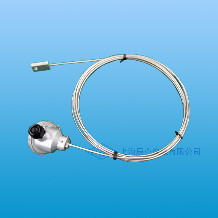 带感温片产品副本