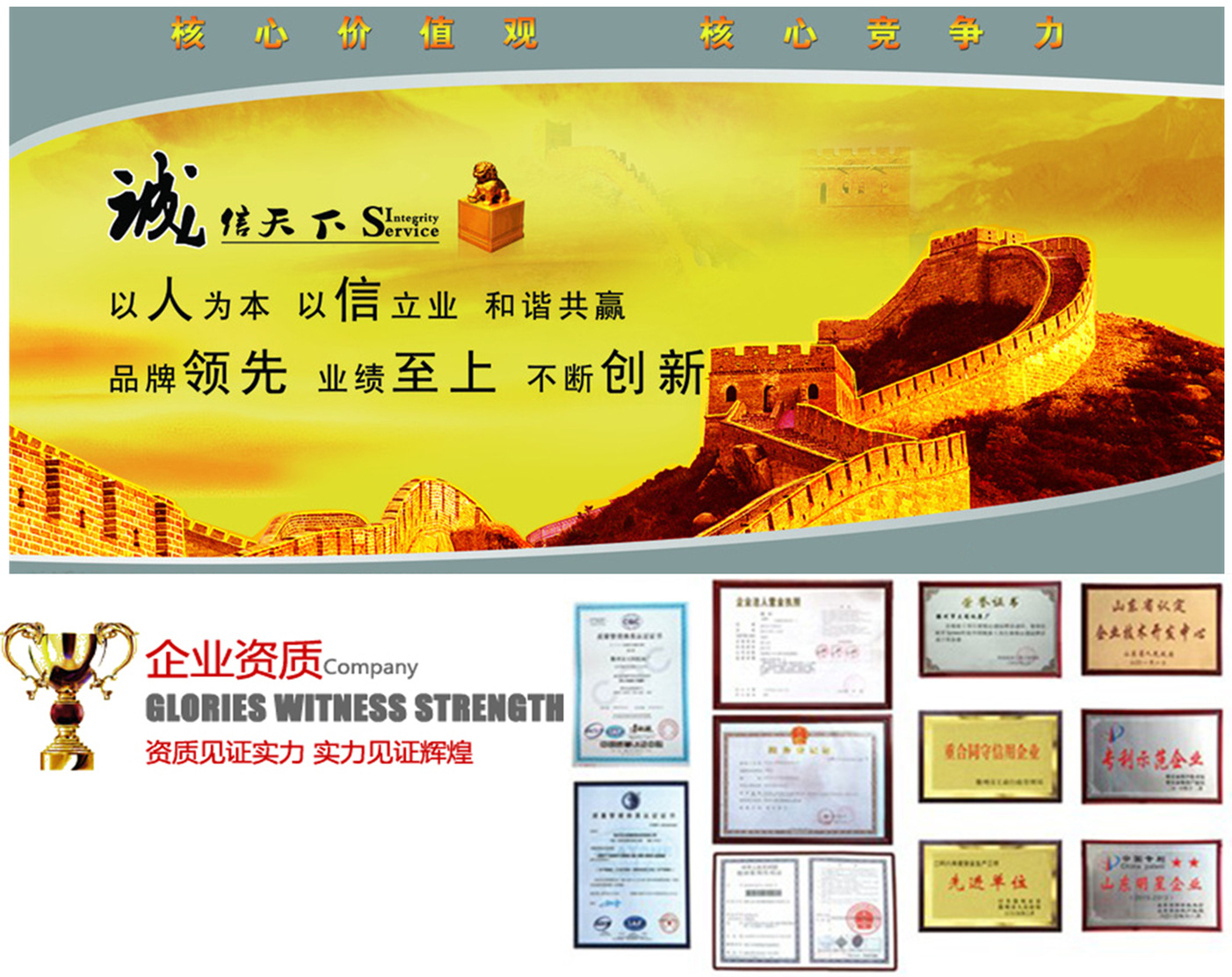 模版中公司资质_副本