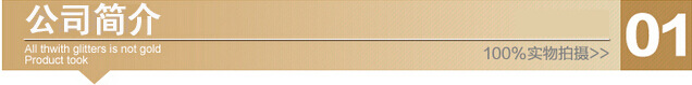 公司简介