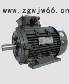 东元铝壳电机AEAL/AEAU产品系列(卧式/立式)
