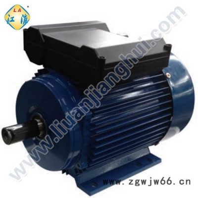 六安电机 - YL双值电容单相异步电动机