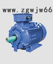 东元超高效电机