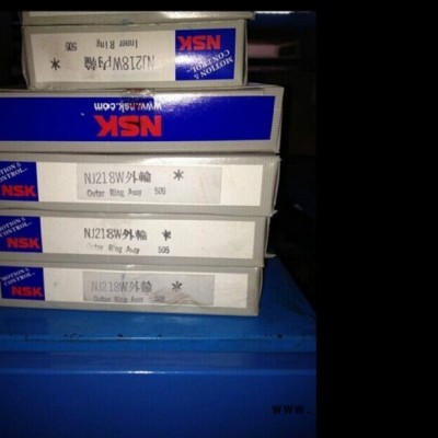 NSK/16002轴承NSK日本轴承特价