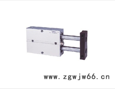 双轴气缸TN10X80S