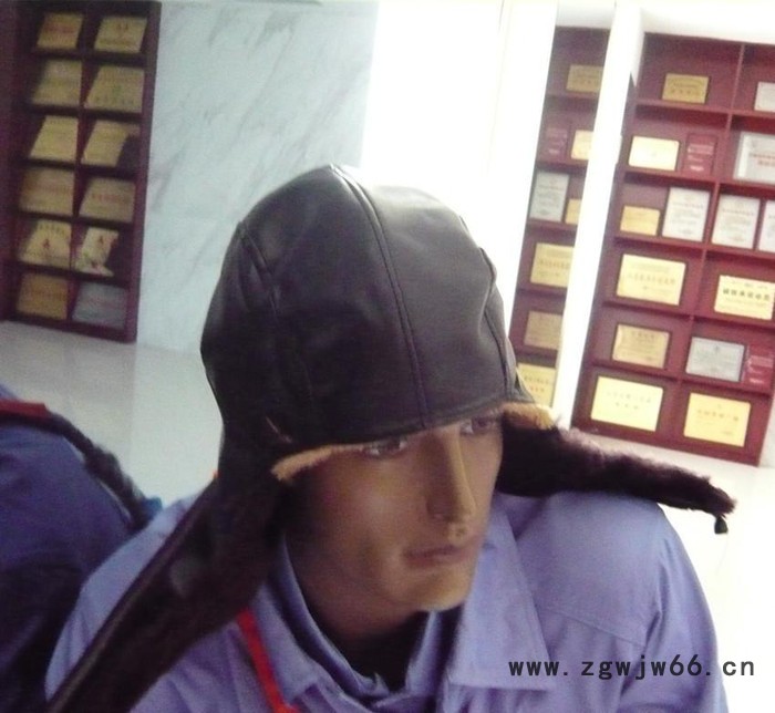 桉叶牌帽套安全帽 帽直销 冬季安全帽耐寒冷图2