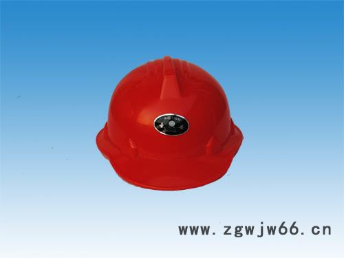 供应大沿安全帽图2