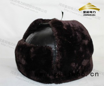 河北金能电力 供应 安全帽 ** 可印刷logo图4