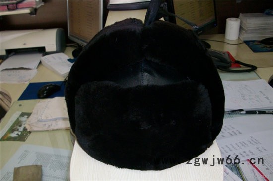 huatai/华泰安全帽防风防砸保暖帽图2